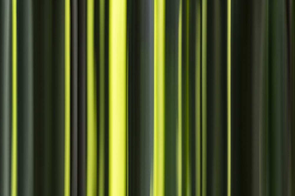 Platz 4 Robert Seitz